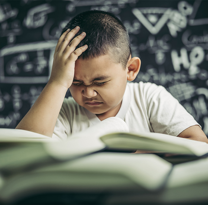 Intelligenza Emotiva e meta-emotiva come predittori dei problemi di adattamento in studenti con Disturbo Specifico dell’Apprendimento