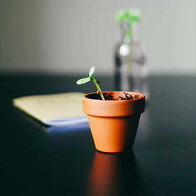 Percorsi di crescita personale